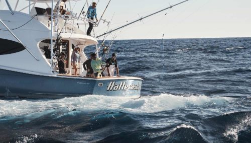 Hatteras GT59